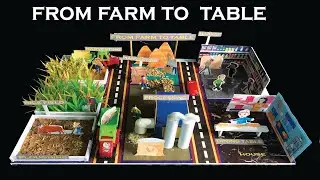 Journey of Food model ! From Farm to table Science project ! How to make Food chain or cycle model