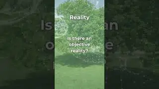 Uncovering the Truth: Is There an Objective Reality? #reality #realityoflife #consciousness