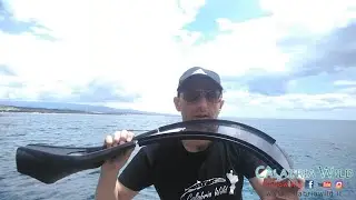 Test Pinne C4 Tanks: Pescasub - Spearfishing