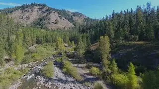 Fly Fishing the Little Greys River in Wyoming.