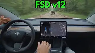 Insane FSD Forest Test &ndash; OLD Tesla Model 3 with HW3 EU!