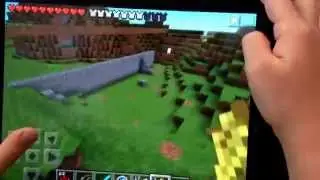 How to play chase with sheep and chickens on Minecraft