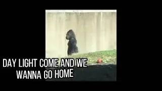 Daylight come and me wanna go home