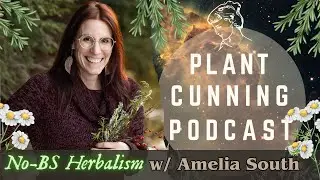 Ep.218: No BS Herbalism with Amelia South
