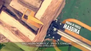 SPACCALEGNA -  11 TONNELLATE -  FAMAG SRL