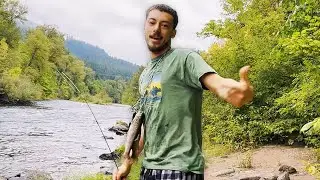 Will Survives - Fish (Official Music Video)
