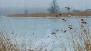 LŪGUMS. Izpilda Edgars Ziņģe