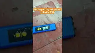 Testing Salt Levels in My Pool Was Surprising!