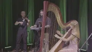 Psuedo Science live at Small World Music Centre