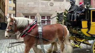 Nuremberg horse 🐎 cart