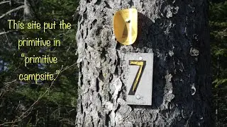 Almost Never Used.  Campsite 7 On Cranberry Lake in the Adirondacks
