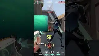 Pine protects Siri
