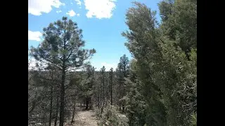 Commercial for sale - 587 Kohners Ridge Dr, Happy Jack, AZ 86024