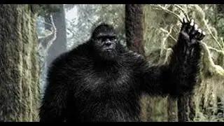 The Moehau Man and China's Yeren the 