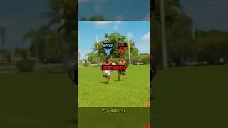 Эштон Холл против САМОЙ БЫСТРОЙ женщины в истории😳🔥