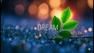 Calm Rain Study Atmosphere &mdash; Cello Piano Instrumental