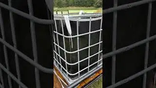 Dewatering bag for removing duckweed