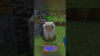 That Time I Lost to a Sheep #shorts #minecraft #sheep #deathswap #gaming #minecraftshorts