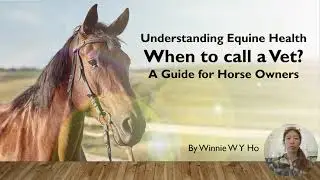 Ho WWY EqPhys FWA 4 5a Equine Veterinary Management Q1
