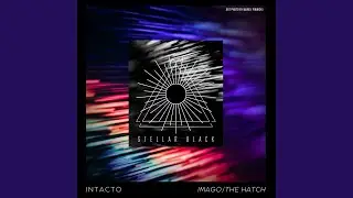 Imago