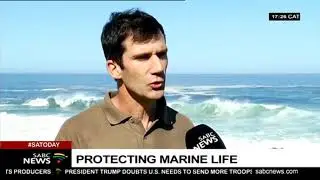 Protecting marine life