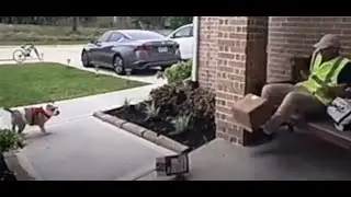 Get your Dog, Screams, delivery man like a little girl. Via TikTok