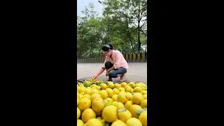 Save a Lot of Money by this 🍋Lemon Hack | नीम्बू स्टोर करने की ट्रिक
