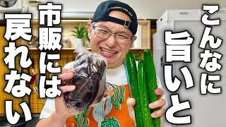 【漬け時間０⁉︎】余ってる茄子ときゅうりは全部これにして欲しい！一度食べたら無限に食べちゃう簡単浅漬けレシピ！
