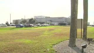 WEB EXTRA:  Sugar Harvest Production