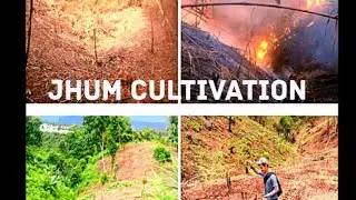 What is JHUM CULTIVATION? (JHUM KHEETI)
