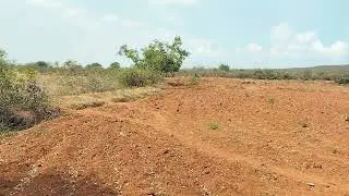 11 acre agriculture form land  22 lak for acr ph 8971607967.