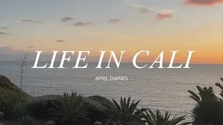 VLOG | Relaxing Spring Days, Homebody, LA Aesthetic Cafe Hopping, Quiet Life in LA