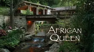 The African Queen Springfield, MO