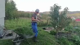 AM TUNS IARBA LA CASUTA IAR ACUMA FAC CURATENIE. 