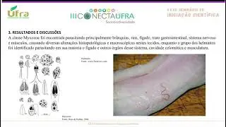 III CONECTA - PARASITOFAUNA DE DUAS ESP&Eacute;CIES DE PEIXES SILURIFORMES: ENDOPARASITOS