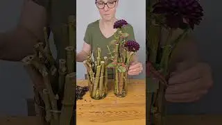 🌿 Sp&auml;tsommer-Vibes auf den Tisch gezaubert! 🍂