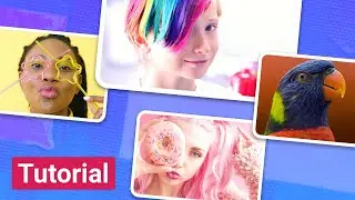 How to Use Stock Media
