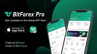BitForex Introduction