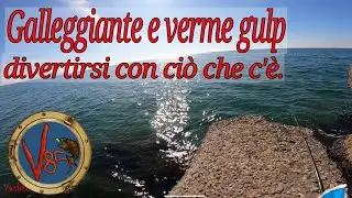 Si torna in mare con galleggiante e vermi Gulp!#pesca #berkleyfishing #gulp #sandworms