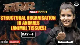 Structural Organisation in Animals (Animal Tissues) in One Shot | RRR Series | NEET 2025 | Medjeex