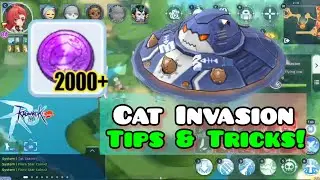 EASILY GET 2K FLORA STAR COIN EVERY CAT INVASION | Ragnarok M: Classic