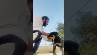 #professionaldogtrainer #ooly #puppy #rottweiler