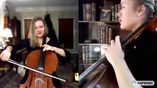 Fur Elise on cello, - Irina Desmond.
