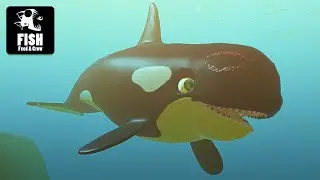 LIPSY SI ORCA PENYELAMAT LAUTAN! Feed and Grow: Fish GAMEPLAY #4