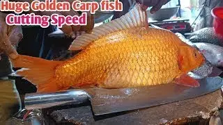 Fast Fish Cutting Video |Amazing Cutting Skills || Big Carp Fish Cleaning & Cutting By Expert