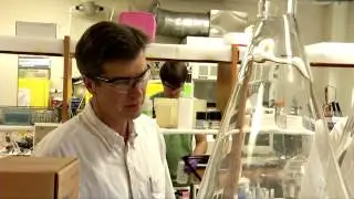 Welcome to the College of Agriculture and Life Sciences