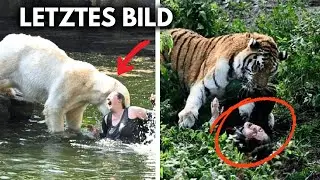 10 Schockierende Tode Von Besuchern In Zoos