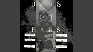 Bars on Bars 3