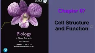 Bio 101  chapter 7 جامعة العلوم و التكنولوجيا (الجزء1)