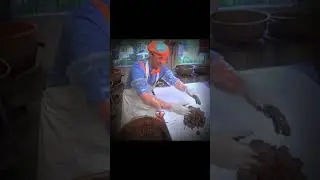 Blippi before YouTube channel💀💀 #shortsfeed #shorts